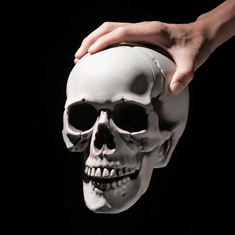 All Size Human Skull Head Skeleton Hanging Skull Halloween Style Photo Prop Home Event Party Decoration Game Supplies - The Best Commerce