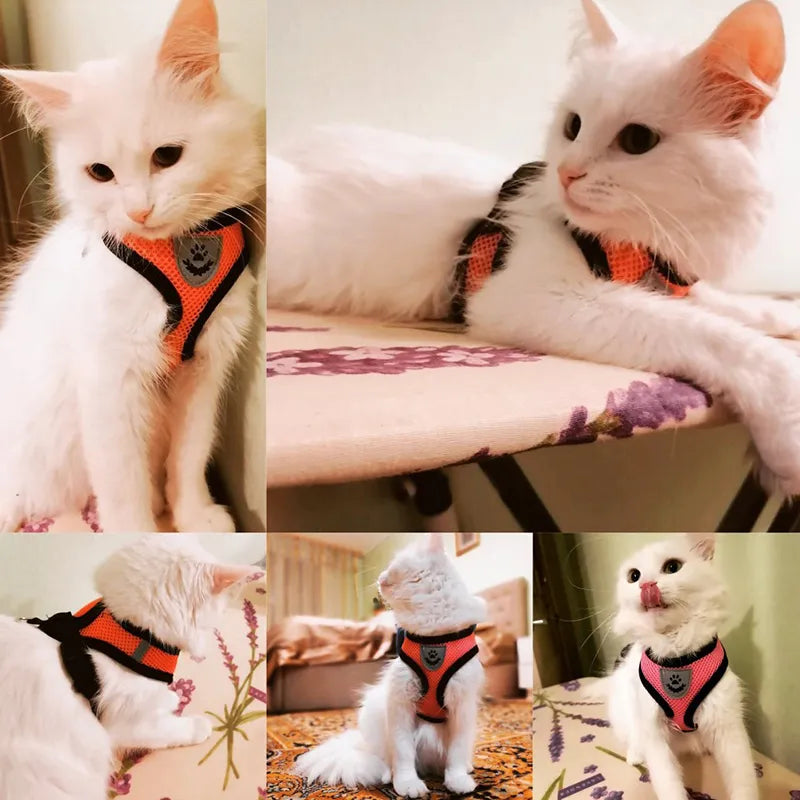 Cat Harness Vest Walking Lead Leash For Puppy Dogs Collar Polyester Adjustable Mesh Dog Harness For Small Medium Pet Accessories - The Best Commerce