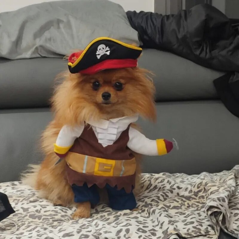 Halloween Funny Dog Cat Costume Party Fancy Dressing Up Pirate Suit Pet Corsair Clothes Jacket Chihuahua French Bulldog Cosplay - The Best Commerce