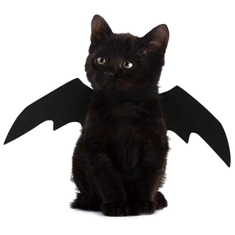 Halloween Cute Pet Clothes Black Bat Wings Harness Costume Cosplay Cat Dog Halloween Party for Pet Supplies - The Best Commerce