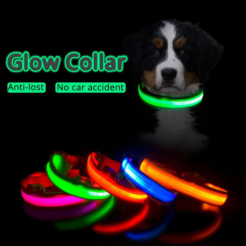 Anti-Lost Collar For Dogs Puppies Dog - The Best Commerce